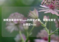 探索完美游戏与Steam的绑定之旅，实现完美平台绑定Steam