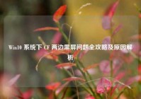 Win10 系统下 CF 两边黑屏问题全攻略及原因解析