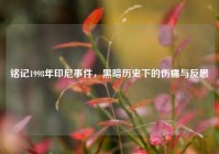 铭记1998年印尼事件，黑暗历史下的伤痛与反思