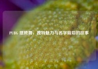 PUBG 摆胯舞，独特魅力与名字背后的故事