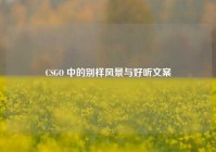 CSGO 中的别样风景与好听文案