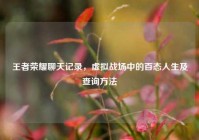 王者荣耀聊天记录，虚拟战场中的百态人生及查询方法