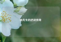 杨先生的逆战传奇