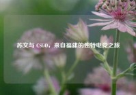 苏文与 CSGO，来自福建的独特电竞之旅