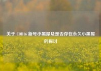 关于 COD16 新号小黑屋及是否存在永久小黑屋的探讨