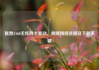 联想Z460无线网卡驱动，保障网络连接及下载关键