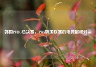 韩国PUBG总决赛，PWS韩国联赛的电竞巅峰对决