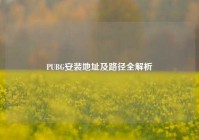 PUBG安装地址及路径全解析