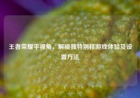 王者荣耀平视角，解锁独特别样游戏体验及设置方法