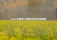 CSGO 沙漠中门攻防及穿点全解析