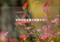 如何调整屏幕分辨率大小