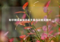 和平精英最强装备大盘点及相关图片