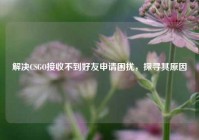 解决CSGO接收不到好友申请困扰，探寻其原因