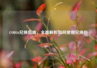 COD16兑换指南，全面解析如何使用兑换码