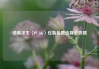 绝地求生（PUBG）安装位置选择全攻略