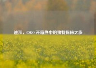 迪拜，CSGO 开箱热中的独特探秘之旅