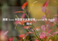 探索 Syswin 开启数字化新征程，syswin6 与 hbolabs 同行