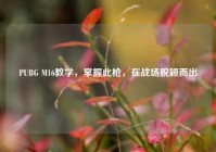 PUBG M16教学，掌握此枪，在战场脱颖而出