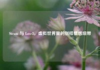 Steam 与 Love3，虚拟世界里的别样情感纽带