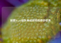 探索Steam组队养成游戏的奇妙世界