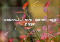 深度解析Windows8.1专业版，功能特性、应用优势及密钥