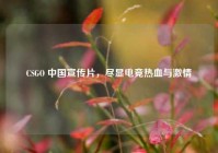 CSGO 中国宣传片，尽显电竞热血与激情