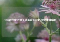 CSGO游戏中迅速关闭声音的技巧及快捷键解析