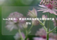 Steam大航海2，重温经典航海冒险及探讨哪代最好玩