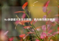 Mac快捷键大全及示意图，助力操作高效便捷