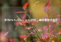 华为P30 Pro与Mate 30 Pro对比，哪款更契合你？
