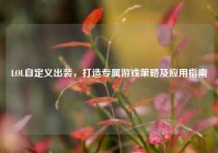 LOL自定义出装，打造专属游戏策略及应用指南