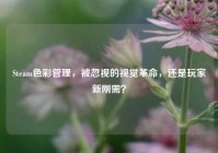 Steam色彩管理，被忽视的视觉革命，还是玩家新刚需？
