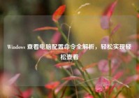 Windows 查看电脑配置命令全解析，轻松实现轻松查看