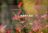 Steam 精准查人方法