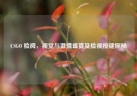 CSGO 检阅，视觉与激情盛宴及检视按键探秘