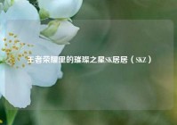 王者荣耀里的璀璨之星SK居居（SKZ）