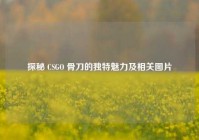 探秘 CSGO 骨刀的独特魅力及相关图片