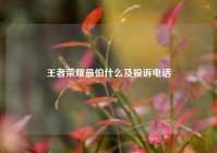 王者荣耀最怕什么及投诉电话