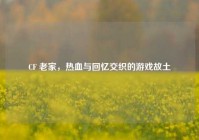 CF 老家，热血与回忆交织的游戏故土