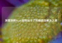 深度剖析Steam游戏玩不了的原因及解决之道