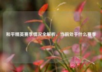 和平精英赛季情况全解析，当前处于什么赛季