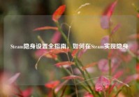Steam隐身设置全指南，如何在Steam实现隐身