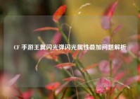 CF 手游王翼闪光弹闪光属性叠加问题解析