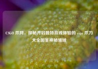 CSGO 爪网，探秘开启独特游戏体验的 csgo 爪刀大全图鉴神秘领域