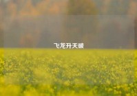 飞龙升天破