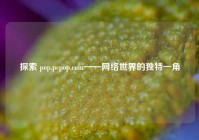 探索 pop.pcpop.com——网络世界的独特一角