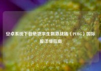 安卓系统下载绝地求生刺激战场（PUBG）国际服详细指南