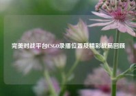 完美对战平台CSGO录播位置及精彩战局回顾