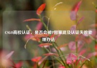 CSGO高校认证，是否会被P图蒙混及认证失败处理办法