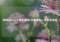 如何在Steam上购买魔镜1及魔镜在Steam上的名称